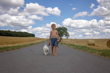 Foto de Hermoso niño rubio, muchacho, caminando por el camino rural con su dulce perrito maltés. Paisaje asombroso, escena rural con nubes, árbol y camino vacío verano, campos de pajar al lado de la carretera, verano - Imagen libre de derechos