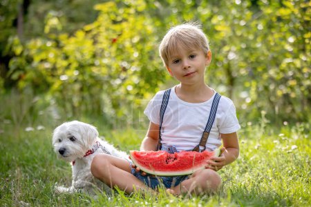 Photo for Amazing blond toddler child, boy with pet dog, eating watermelon in garden, summertime - Royalty Free Image