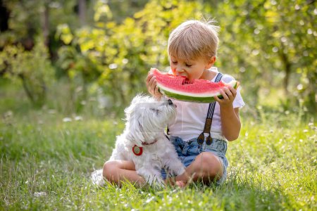 Téléchargez les photos : Incroyable enfant blond en bas âge, garçon avec chien, manger de la pastèque dans le jardin, l'été - en image libre de droit