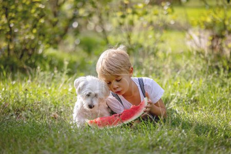 Foto de Increíble niño rubio, niño con perro de compañía, comer sandía en el jardín, verano - Imagen libre de derechos