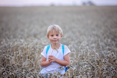 Téléchargez les photos : Doux enfant blond tout-petit, garçon, jouant dans le champ de blé au coucher du soleil, été. Scène rurale avec enfant - en image libre de droit