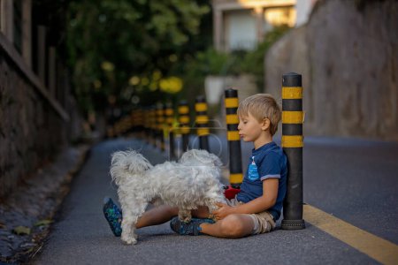 Téléchargez les photos : Enfant mignon, garçon, assis par terre dans la ville, jouant avec un petit chien maltais, été - en image libre de droit