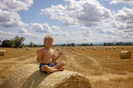 Photo for Beautiful blond child, boy, sitting on haystack with his sweet little maltese pet dog. Amazing landscape, rural scene with clouds, tree and empty road summertime, fields of haystack next to the road, Portugal - Royalty Free Image