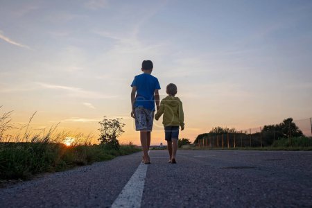 Photo for Two boys, brothers, children, blond boys with pet dog, maltese breed, walking on a road in rural, sunny day, beautiful sunset - Royalty Free Image