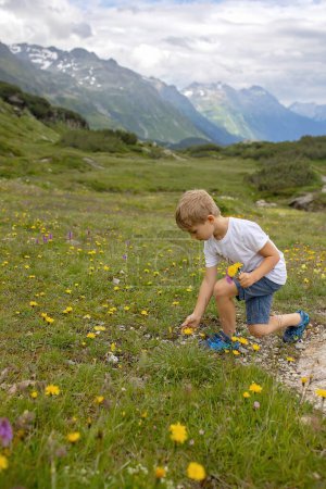 Photo for Beautiful blond child, boy, gathering wild flowers fom mother in the mountains in Switzerland, summertime - Royalty Free Image