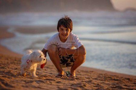 Téléchargez les photos : Happy chil, adolescent garçon, jouer sur la plage au coucher du soleil avec son chien de compagnie, race maltaise, couverture enfant dans le sable, sourire, rire, profiter d'un peu de plaisir - en image libre de droit