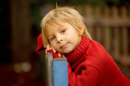 Foto de Retrato de otoño de un niño rubio lindo en el parque, sonriente, otoñal - Imagen libre de derechos
