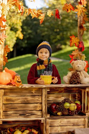 Photo for Cute blond toddler child, standing next to autumn wooden stand with decoration, apples, leaves, mug, hedgehock in the park , autumntime - Royalty Free Image