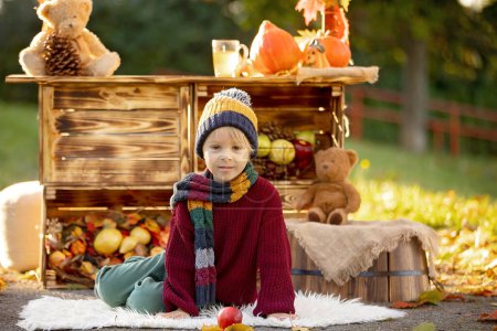 Foto de Niño rubio lindo, de pie junto al soporte de madera de otoño con decoración, manzanas, hojas, taza, erizo en el parque, otoño - Imagen libre de derechos
