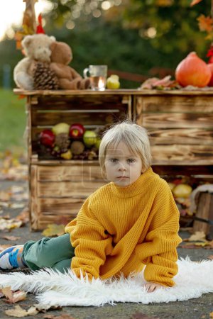 Photo for Cute blond toddler child and sibling brothers, standing next to autumn wooden stand with decoration, apples, leaves, mug, hedgehock in the park, autumntime - Royalty Free Image