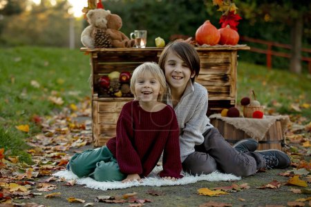 Téléchargez les photos : Bébé blond mignon enfant en bas âge et frères frères et sœurs, debout à côté de stand en bois d'automne avec décoration, pommes, feuilles, tasse, hérisson dans le parc, automne - en image libre de droit