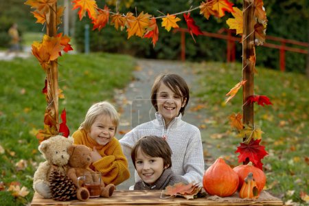 Photo for Cute blond toddler child and sibling brothers, standing next to autumn wooden stand with decoration, apples, leaves, mug, hedgehock in the park, autumntime - Royalty Free Image