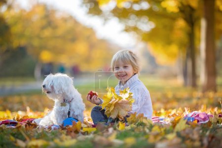 Photo for Happy children, playing with pet dog in autumn park on a sunny day, foliage and leaves all around them - Royalty Free Image