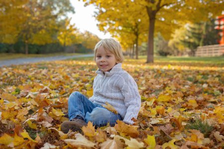 Photo for Happy children, playing with pet dog in autumn park on a sunny day, foliage and leaves all around them - Royalty Free Image