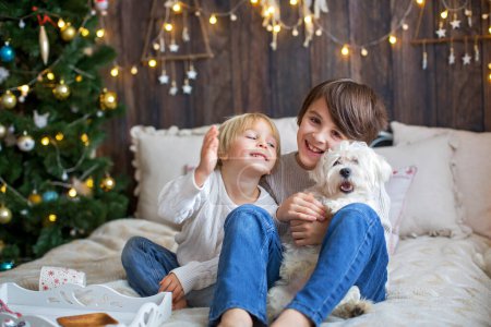 Téléchargez les photos : Bonne famille avec enfants et chien de compagnie, profiter du temps de Noël ensemble, célébrer Noël - en image libre de droit