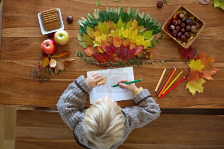 Foto de Dulce niño, muchacho, aplicando hojas usando pegamento mientras hace artes y chraft con hojas de otoño en casa, colorido espectro de hojas - Imagen libre de derechos