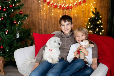 Foto de Hermoso niño rubio y su hermano mayor, niños de la escuela, jugando en una casa decorada con juguetes de punto en Navidad con su perro mascota - Imagen libre de derechos