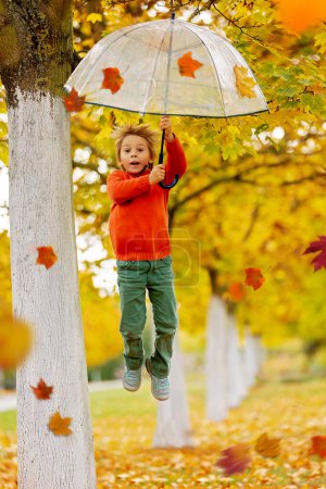 Foto de Lindo niño rubio, niño, jugando con juguetes de punto en el parque, otoño, setas, hojas, calabazas - Imagen libre de derechos