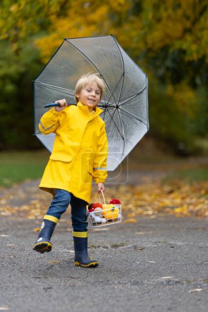 Foto de Hermoso niño rubio preescolar, jugando con hojas, setas y calabazas bajo la lluvia, sosteniendo el paraguas, hermoso día de otoño - Imagen libre de derechos