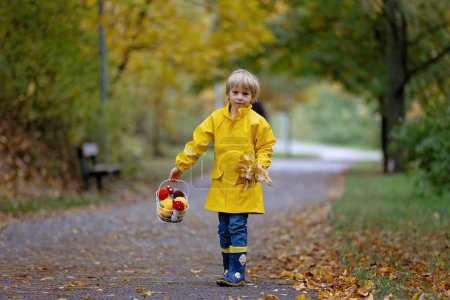 Photo for Beautiful blond preschool child, playing with leaves, mushrooms and pumpkins in the rain, holding umbrella, beautiful autumn day - Royalty Free Image