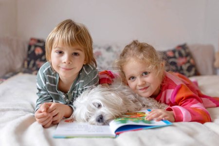 Photo for Two blond cute children, boy and girl, siblings and maltese dog, reading book together at home, joy and happiness - Royalty Free Image