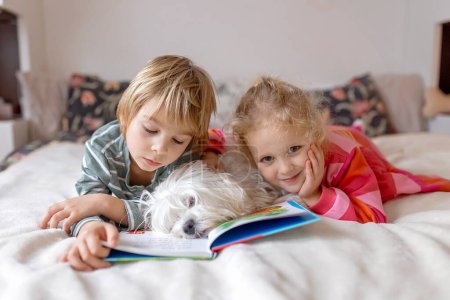Photo for Two blond cute children, boy and girl, siblings and maltese dog, reading book together at home, joy and happiness - Royalty Free Image