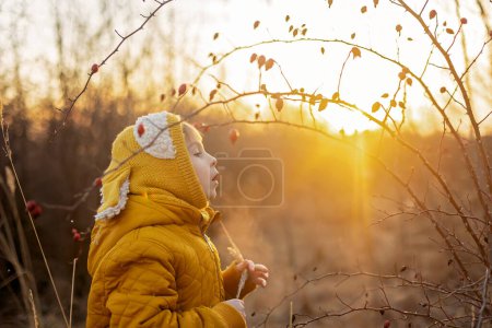 Foto de Beatiful niño de la escuela, niño con sombrero amarillo y chaqueta en el parque al atardecer jugando bajo el invierno arbusto de la cadera - Imagen libre de derechos