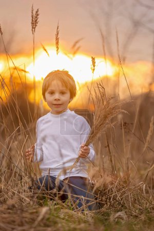 Foto de Adorable niño pequeño, niño, sosteniendo flores fild en el parque en el día de otoño, puesta de sol, turismo con mochila - Imagen libre de derechos