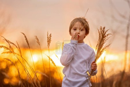 Foto de Adorable niño pequeño, niño, sosteniendo flores fild en el parque en el día de otoño, puesta de sol, turismo con mochila - Imagen libre de derechos