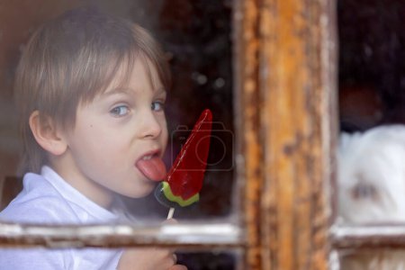 Photo for Cute child and maltese pet dog, sitting on the window and eating watermelon lollipop, smiling with happiness - Royalty Free Image
