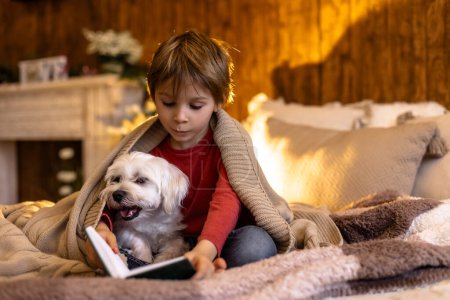 Foto de Pequeño niño pequeño, niño, acostado en la cama con el perro mascota, pequeño perro maltés, leyendo un libro, buena luz suave - Imagen libre de derechos