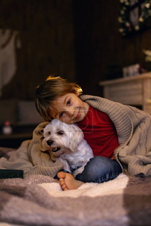 Téléchargez les photos : Petit enfant en bas âge, garçon, couché dans le lit avec un chien de compagnie, petit chien maltais, lisant un livre, belle lumière douce - en image libre de droit