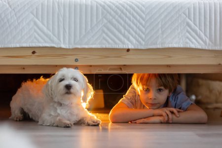Foto de Pequeño niño preescolar, escondido debajo de la cama con su perro, sosteniendo la linterna en casa - Imagen libre de derechos