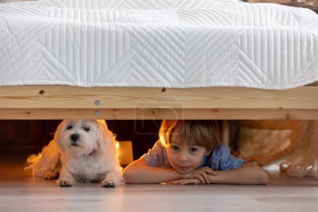 Petit enfant d'âge préscolaire, caché sous le lit avec son chien, tenant une lampe de poche à la maison