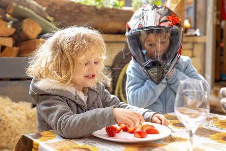 Photo for Children, kids, eating strawberries outdoors on a sunny spring day - Royalty Free Image