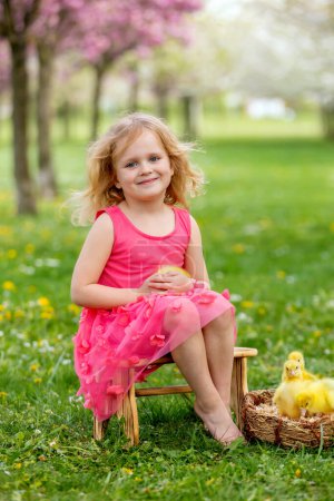 Happy beautiful child, kid, playing with small beautiful ducklings or goslings, cute fluffy yellow animal birds