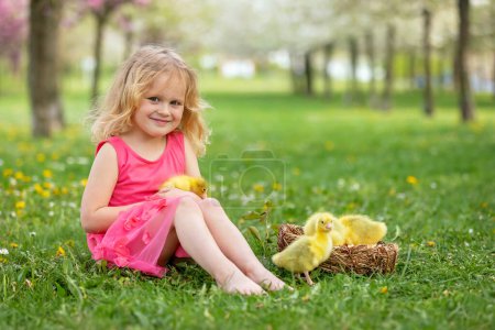 Téléchargez les photos : Joyeux enfant, enfant, jouant avec de beaux petits canetons ou oisons, mignons oiseaux animaux jaunes pelucheux - en image libre de droit