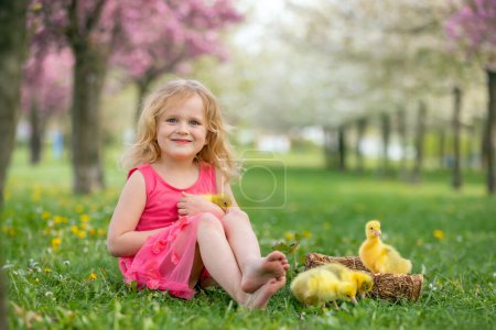 Foto de Feliz hermoso niño, niño, jugando con pequeños patitos hermosos o goslings, lindo pájaro peludo animal amarillo - Imagen libre de derechos