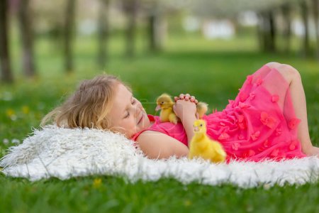 Foto de Feliz hermoso niño, niño, jugando con pequeños patitos hermosos o goslings, lindo pájaro peludo animal amarillo - Imagen libre de derechos