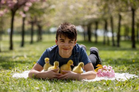 Foto de Hermosos niños, niños, hermanos, jugando con pequeños goslings en el parque srpingtime - Imagen libre de derechos