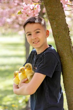 Photo for Beautiful children, boys, siblings, playing with little goslings in the park srpingtime - Royalty Free Image