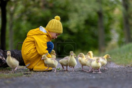 Photo for Cute little school child, playing with little gosling in the park on a rainy day, springtime - Royalty Free Image