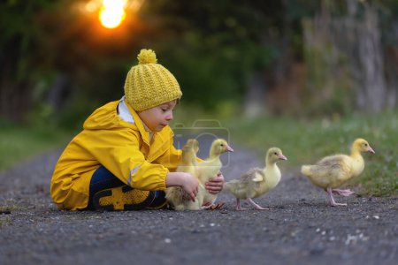Photo for Cute little school child, playing with little gosling in the park on a rainy day, springtime - Royalty Free Image