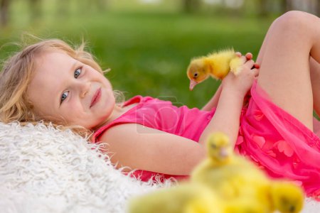 Happy beautiful child, girl kid, playing with small beautiful ducklings or goslings, cute fluffy yellow animal birds in the park