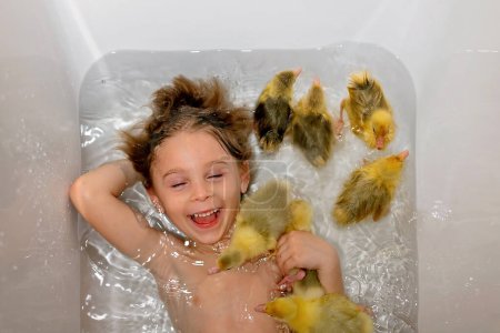 Photo for Happy beautiful child, kid, playing with small beautiful ducklings or goslings, cute fluffy yellow animal birds in bathtub, swimming - Royalty Free Image