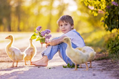 Cute beautiful schoolchild, playing with little gosling in a park on sunset, barefoot kid enjoying young animal birds