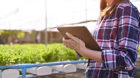 Ausgeschnittenes Bild einer Biobäuerin oder Agrarwissenschaftlerin, die ein Tablet benutzt, um das hydroponische Farmsystem zu steuern oder die Qualität des Salatgemüses auf dem Tablet festzuhalten.