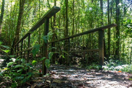 Photo for Bridge in pathway of a trail used for trekking inside Kinabalu National Park, Sabah, Malaysia. A scenic pathway inside Kinabalu National Park, which is a UNESCO work heritage site. - Royalty Free Image