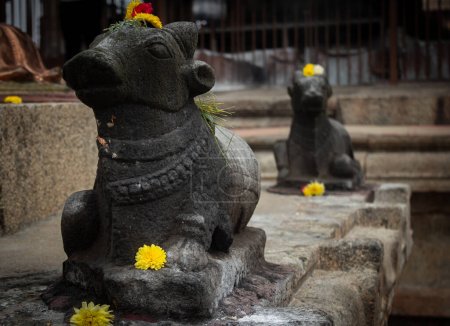 Foto de Pequeñas estatuas de nandi (vaca) en el templo grande de Thanjavur (también conocido como el Kovil de Periya de Thanjai en lengua tamil). - Imagen libre de derechos