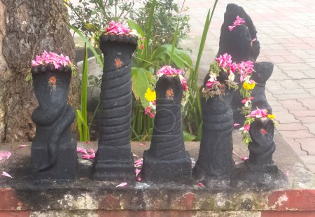 Téléchargez les photos : Dieux serpents au temple Kuzhanthai Velapar (signifie temple bébé seigneur murugan) avec des fleurs adorées par les dévots - en image libre de droit